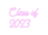 Custom Neon: Class of
 2023 - Neon Fever