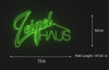 Load image into Gallery viewer, Cutsom: ZeigelHaus - Neon Fever