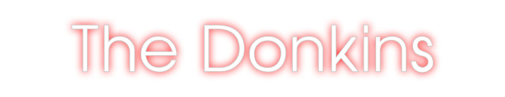 Custom Neon: The Donkins