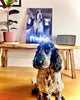 PERSONALISED PET PORTRAIT LED NEON ARTWORK - Neon Fever